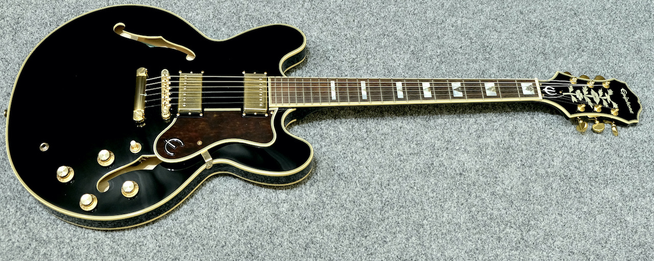 danelectro 12-string-f-hole